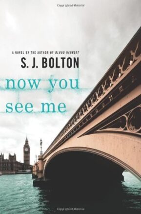 Book Summary Now You See Me