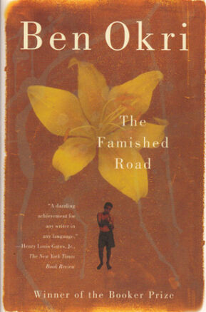 Book Summary The Famished Road