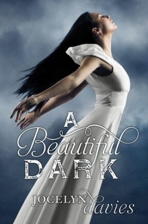 Book Summary A Beautiful Dark