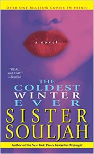Book Summary The Coldest Winter Ever
