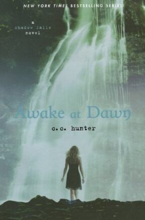 Book Summary Awake at Dawn