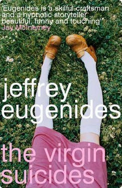 Book Summary The Virgin Suicides