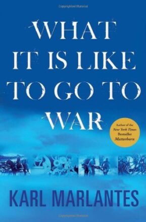 Book Summary What It is Like to Go to War