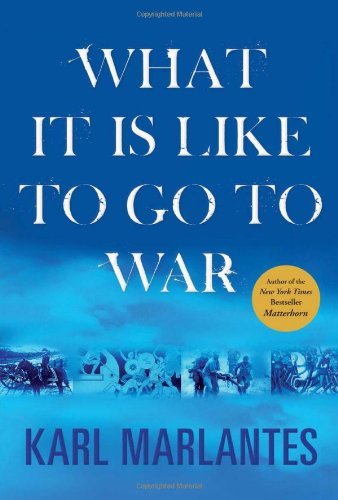Book Summary What It is Like to Go to War