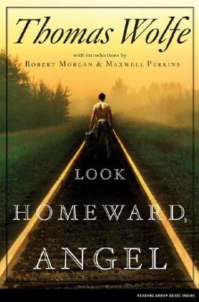 Book Summary Look Homeward, Angel