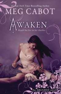 Book Summary Awaken