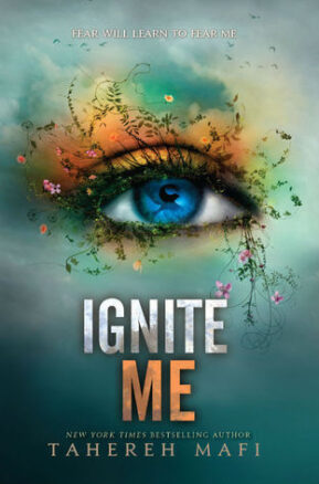 Book Summary Ignite Me
