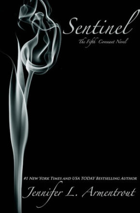 Book Summary Sentinel