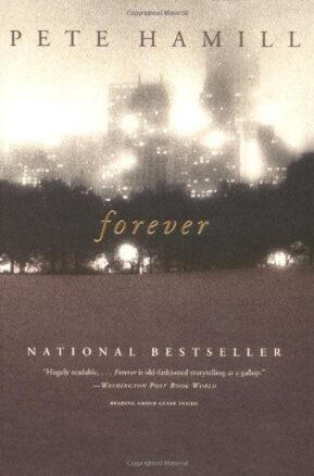 Book Summary Forever