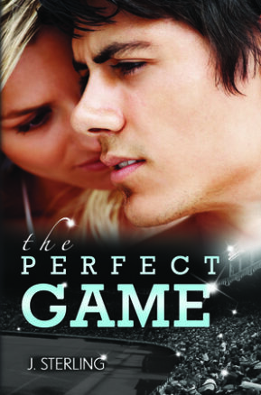 Book Summary The Perfect Game