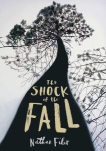 Book Summary The Shock of the Fall