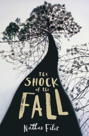 Book Summary The Shock of the Fall