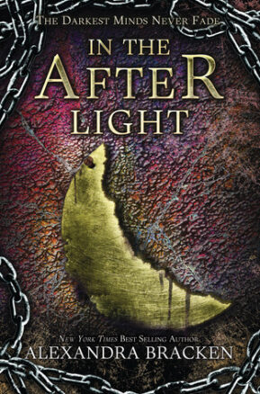 Book Summary In the Afterlight