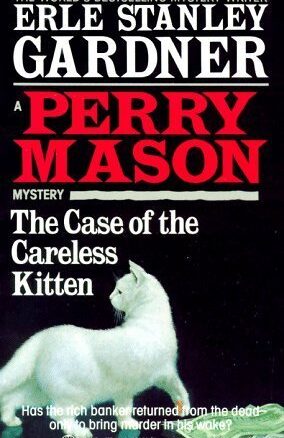 Book Summary The Case of the Careless Kitten