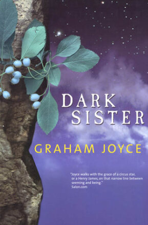 Book Summary Dark Sister