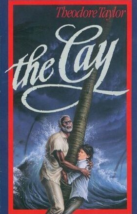 Book Summary The Cay