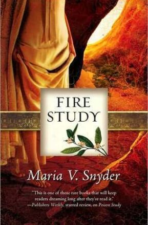 Book Summary Fire Study
