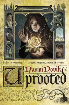 Book Summary Uprooted