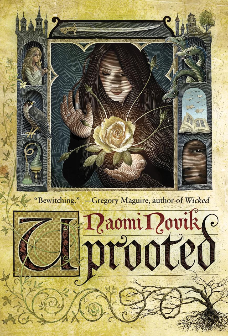 Book Summary Uprooted