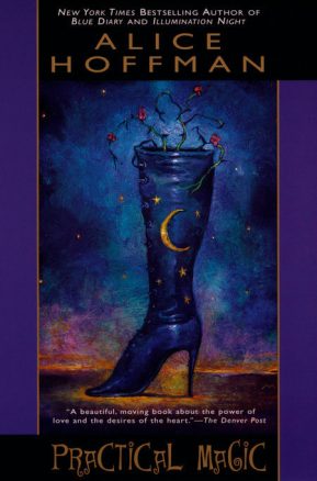 Book Summary Practical Magic