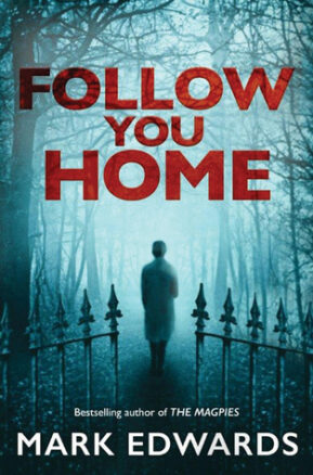 Book Summary Follow You Home