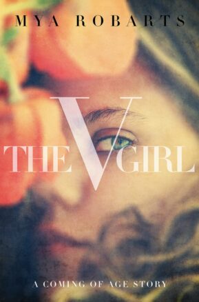 Book Summary The V Girl: a Coming of Age Story