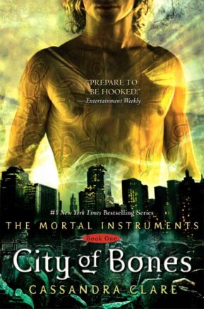 Book Summary City of Bones