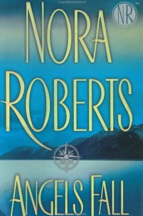 Book Summary Angels Fall