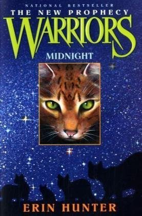 Book Summary Midnight
