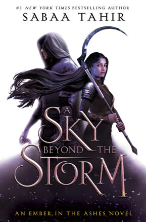 Book Summary A ​Sky Beyond the Storm