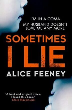 Book Summary Sometimes I Lie