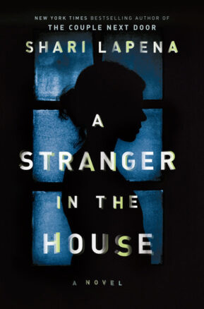 Book Summary A Stranger in the House