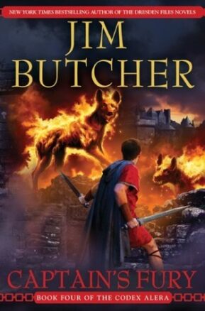 Book Summary Captain's Fury
