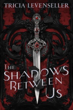 Book Summary The Shadows Between Us