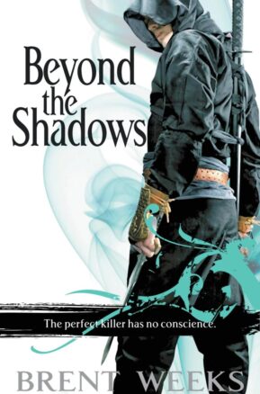 Book Summary Beyond the Shadows