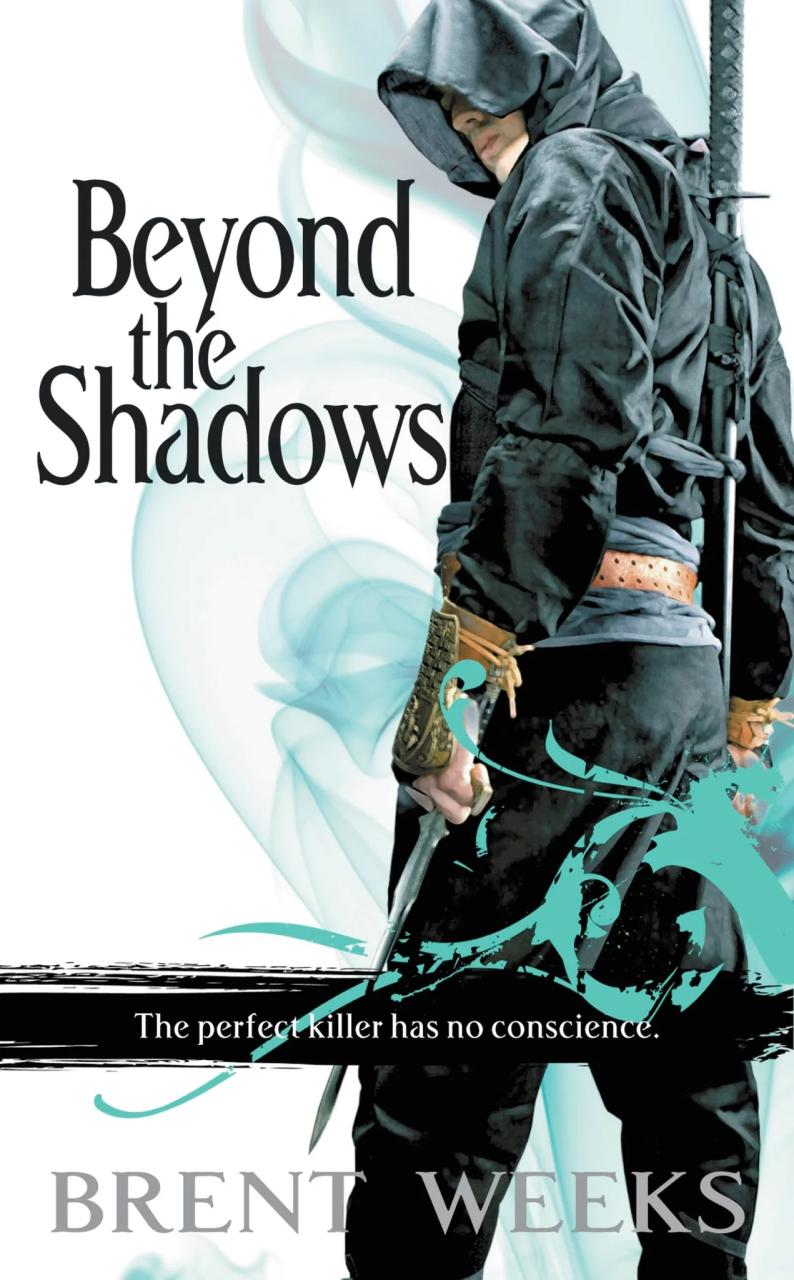 Book Summary Beyond the Shadows