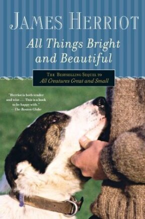 Book Summary All Things Bright and Beautiful