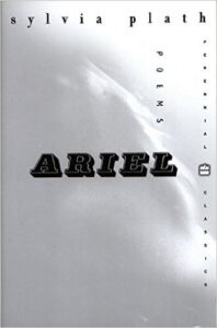 Book Summary Ariel