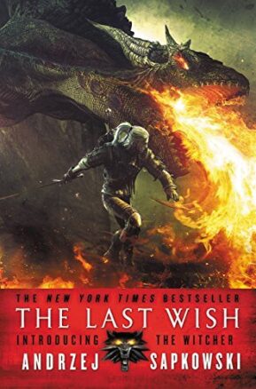 Book Summary The Last Wish
