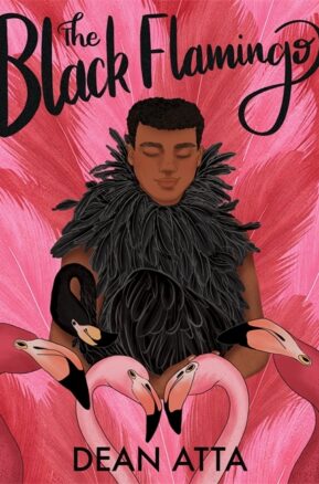 Book Summary The Black Flamingo