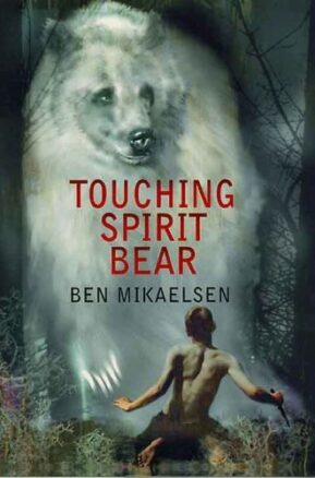 Book Summary Touching Spirit Bear