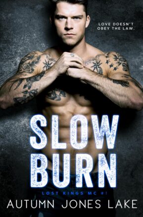Book Summary Slow Burn