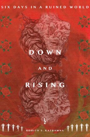 Book Summary Down and Rising
