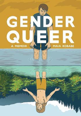 Book Summary Gender Queer