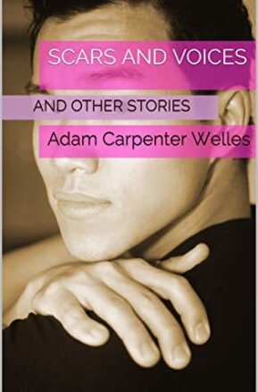 Book Summary Scars and Voices: And Other Stories