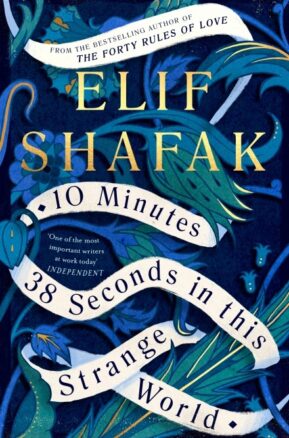 Book Summary 10 Minutes 38 Seconds in This Strange World
