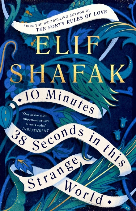 Book Summary 10 Minutes 38 Seconds in This Strange World