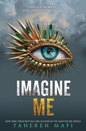 Book Summary Imagine Me