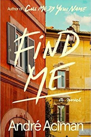 Book Summary Find Me