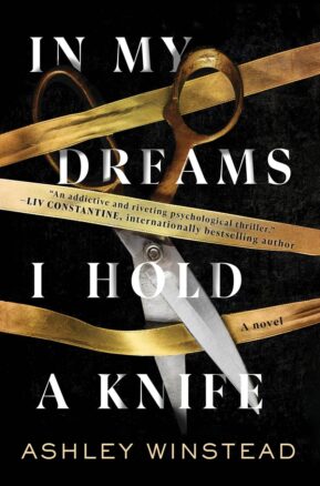 Book Summary In My Dreams I Hold a Knife